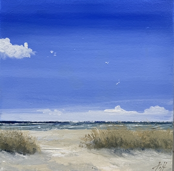 Skagen Sønderstrand - Gitte Toft